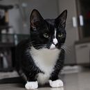 Projekt podstaw fotografii. . Fotografie și Fotografie digitală de manufakturagr - 09.29.2023