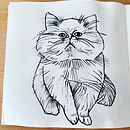Mein Abschlussprojekt für den Kurs: Tägliches Sketching für kreative Inspiration. Projekt z dziedziny Trad, c, jna ilustracja, Sketching, Kreat, wność,  R, sunek i Sketchbook użytkownika Stella - 30.08.2023