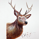Meu projeto do curso: Retratos expressivos de animais em aquarela. Projekt z dziedziny Trad, c, jna ilustracja, Malowanie akwarelą, R, sunek realist, czn, Ilustracja naturalist i czna użytkownika Paloma Linck - 29.08.2023
