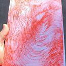 Desierto . Ilustrație tradițională de Damian Heredia - 08.19.2023