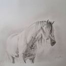 Ritratto a grafite di un cavallo. Un projet de Illustration traditionnelle, Beaux Arts, Dessin au cra, on, Dessin, Dessin de portrait, Dessin réaliste et Illustration naturaliste de Barbara Baiano - 03.09.2023
