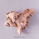 Mi proyecto del curso: Fotografía profesional para Instagram . % Marina Costales tarafından hazırlanan Reklamcılık, Fotoğrafçılık, Pazarlama, Sos, al Med, a, Mobil Fotoğrafçılık, Ürün Fotoğrafçılığı, Mobil Pazarlama, Instagram, Instagram Fotoğrafçılığı, Ve Yaşam Tarzı Fotoğrafçılığı projesi - 08.27.2023