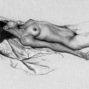 Schizzi anatomici su carta grigia con graphite e matita bianca.. Figure Drawing project by luca focaracci - 09.04.2023
