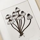 Colección Setas. Engraving, and Printing project by Raquel Pérez Carballo - 09.06.2023