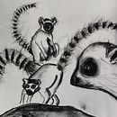 My project for course: Animal Illustration with Charcoal and Ink. Projekt z dziedziny  Sztuki piękne,  R, sunek,  R, sunek atramentem, Ilustracja naturalist i czna użytkownika Barbara Manning - 06.09.2023