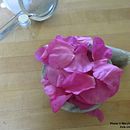 Mon projet du cours : Création d'aquarelles liquides à base de pigments végétaux. Un progetto di Artigianato, Belle arti, Pittura, Pittura ad acquerello, DIY e Teoria del colore di marylenefaucher - 29.08.2023