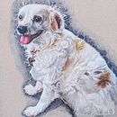 My project for course: Pet Portraits in Colored Pencils. Een project van Traditionele illustratie y Naturalistische illustratie van Wretched Commonly - 08.09.2023