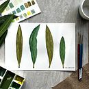 My project for course: Realistic Botanical Watercolor Drawing. Un progetto di Design, Illustrazione tradizionale, Belle arti, Pittura, Pittura ad acquerello e Illustrazione botanica di Tanya Meschcerina - 07.09.2023