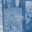 Mijn project van de cursus: Cyanotypie: een druktechniek met licht. Un projet de Artisanat, Beaux Arts, Estampe, DIY , et Photographie argentique de Stef Hellmann - 10.09.2023