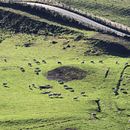 Isla Mágica de Chiloé. Photograph project by Alvaro Blanche - 09.12.2023