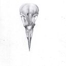 My project for course: Intro to Anatomy Drawing with Graphite Pencil. Un proyecto de Bellas Artes, Dibujo a lápiz, Dibujo, Dibujo realista y Dibujo anatómico de Ingrid Wolf-Hattinger - 12.09.2023