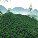 My project for course: Surreal Fantasy Landscapes in 3D. Un progetto di 3D, Animazione 3D e Modellazione 3D di Islam Mohamed - 10.09.2023