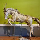 Space Horse. Escultura projeto de Laura-ann Burgess - 14.09.2023