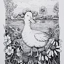 My project for course: Dip Pen and Ink Illustration: Capturing The Natural World. Un proyecto de Bocetado, Dibujo, Dibujo artístico, Sketchbook, Ilustración con tinta e Ilustración naturalista				 de Stacy Burch - 17.09.2023
