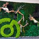 Algunos de mis trabajos con planta preservada. Projekt z dziedziny Kompoz i cje kwiatowe i botaniczne użytkownika m_g_ciller - 19.09.2023