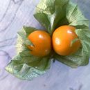 Exportando la fruta de mi país . % David Zambrano tarafından hazırlanan Fotoğrafçılık, Mobil Fotoğrafçılık, Ve Video Düzenleme projesi - 09.20.2023