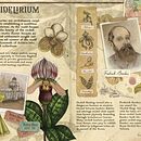 Orchidelirium. Un proyecto de Ilustración tradicional, Diseño, Diseño editorial, Diseño gráfico, Tipografía, Ilustración digital y Dibujo de Bronte Rose Marando - 20.09.2023