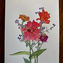 My project for course: Botanical Sketchbooking: A Meditative Approach Ein Projekt aus dem Bereich Traditionelle Illustration, Skizzenentwurf, Zeichnung, Aquarellmalerei, Botanische Illustration und Sketchbook von Laurie Moxley - 22.09.2023