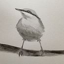 : Artistic Watercolor Techniques for Illustrating Birds Final Project. Un projet de Aquarelle, Dessin réaliste, Illustration traditionnelle et Illustration naturaliste de Tish ODell - 25.09.2023