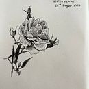 A sketchbook of flowers drawn in pen . % inatsetsova tarafından hazırlanan Çizim projesi - 09.25.2023