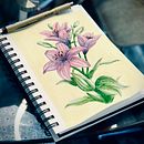 My project for course: Illustrating Nature with Watercolor and Pen. Un proyecto de Ilustración tradicional, Bellas Artes, Pintura, Dibujo, Pintura a la acuarela e Ilustración botánica de Mika Omokoko - 27.09.2023