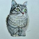 Mi proyecto del curso: Retratos de Mascotas en Lápices de Colores . % Audry Briceño tarafından hazırlanan Geleneksel illüstras, on, Doğalcı İllüstras, Ve on projesi - 09.25.2023
