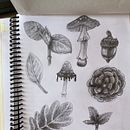 Mi proyecto del curso: Sketchbook de naturaleza fantástica: dibuja criaturas de otro mundo. Pencil Drawing, Drawing, Watercolor Painting, Sketchbook, and Naturalistic Illustration project by Claudia Urrea - 09.30.2023