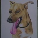 Meu projeto do curso: Retratos de pets a lápis de cor. Projekt z dziedziny Trad, c, jna ilustracja, Ilustracja naturalist i czna użytkownika Núbia Regina B. de Souza - 24.09.2023