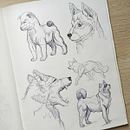 My project for course: Daily Sketching for Creative Inspiration. Traditional illustration, Sketching, Creativit, Drawing, and Sketchbook project by Amandine Bertrand - 10.01.2023