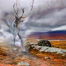 My project for course: Magical Photomontage in Photoshop: Creating Visual Metaphors . % Päivi Remes tarafından hazırlanan Fotoğraf Post Prodüksi, on, Fotoğraf Rötuşlama, Dijital Fotoğrafçılık, Fotoğrafik Kompozis, on, Ve Fotomontaj projesi - 10.02.2023