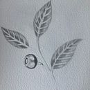 Mon projet du cours : Illustration botanique à l’aquarelle . % Trysken Van Crombrugge tarafından hazırlanan Geleneksel illüstras, on, Güzel sanatlar, Tablo, Çizim, Sulubo, a Resim, Botanik İllüstras, Ve on projesi - 10.05.2023