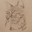 Mi proyecto del curso: Dibujo naturalista de animales con grafito . % reuhtte tarafından hazırlanan Geleneksel illüstras, on, Kalem Çizimi, Çizim, Doğalcı İllüstras, Ve on projesi - 10.05.2023