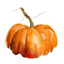 Pumpkin Pillow . Traditional illustration, Motion Graphics, Animation, 2D Animation, Digital Illustration, and Animated Illustration project by designsbynikolai - 09.27.2023