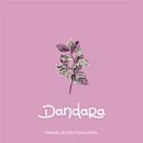 Desarrollo de identidad DANDARA Ein Projekt aus dem Bereich Design, Traditionelle Illustration, Br und ing und Identität von Solange Blumin - 01.09.2023