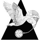 My project for course: Realistic Illustration of Birds with Imaginative Elements. Projekt z dziedziny R, sunek ołówkiem,  R, sunek,  R, sunek atramentem, Ilustracja naturalist i czna użytkownika eluned_eleven - 06.10.2023