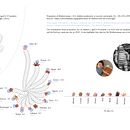PLUMP 2022 - data visualization and information design. Een project van Informatieontwerp, Interactief ontwerp y  Infographics van saracaselli - 06.10.2023