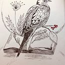 My project for course: Realistic Illustration of Birds with Imaginative Elements. Un progetto di Disegno a matita, Disegno, Illustrazione con inchiostro e Illustrazione naturalistica di Rialette Heyneke - 08.10.2023