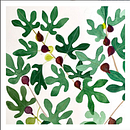 Fig Tree . Een project van Patroonontwerp, Aquarelschilderen y Traditionele illustratie van Dimitra Polychronis - 10.10.2023