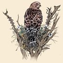 My project for course: Naturalist Illustration with Ballpoint Pen  . % jennifer folkerts folkerts tarafından hazırlanan Geleneksel illüstras, on, Çizim, Gerçekçi Çizim, Doğalcı İllüstras, Ve on projesi - 10.10.2023