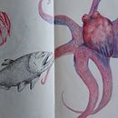 Meu projeto do curso: Sketching diário para inspiração criativa. Een project van Traditionele illustratie,  Schetsen,  Creativiteit,  Tekening y Sketchbook van Natália Fontes Rodrigues - 11.10.2023
