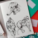 Sketchbook ilustrado de Perros. Un proyecto de Diseño, Ilustración tradicional, Dibujo a lápiz, Dibujo, Dibujo realista, Dibujo artístico, Sketchbook, Dibujo anatómico, Ilustración naturalista				 y Dibujo con lápices de colores de Claudia Silva - 13.10.2023