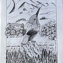Mijn project van de cursus: Illustratie met een kroontjespen en inkt: leg de natuur vast . % marleen_e_albers tarafından hazırlanan Eskiz çizimi, Çizim, Sanatsal Çizim, Eskiz defteri, Mürekkep İllüstras, onu, Doğalcı İllüstras, Ve on projesi - 10.17.2023