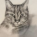 Mijn project van de cursus: Realistische dierenafbeeldingen in grafietpotlood. Un proyecto de Bellas Artes, Dibujo a lápiz, Dibujo, Dibujo realista e Ilustración naturalista				 de Lise - 17.10.2023