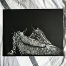 Equus Caballus II. Een project van Realistische tekening van Alison Tubritt-Roberts - 19.10.2023