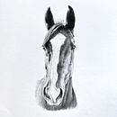 Pet Portraits. Een project van  Portrettekening van Alison Tubritt-Roberts - 19.10.2023