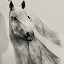 Mi proyecto del curso: Retratos expresivos de animales en acuarela. Ilustração tradicional, Pintura em aquarela, Desenho realista e Ilustração naturalista projeto de Clarita Plazas - 19.10.2023