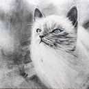 My project for course: Expressive Drawing with Charcoal. Fine Arts, Drawing, Portrait Drawing, and Naturalistic Illustration project by Zuzana Zachová - 10.19.2023