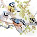 Mi proyecto del curso: Acuarela artística para ilustración de aves. Een project van Traditionele illustratie, Aquarelschilderen, Realistische tekening y Naturalistische illustratie van Monica Perez Avila - 17.10.2023