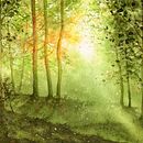 Il mio progetto del corso: Paesaggi incantevoli ad acquerello: dipingi con la luce. Un proyecto de Pintura y Pintura a la acuarela de Pina Muscas - 21.10.2023