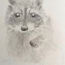My project for course: Naturalistic Animal Drawing with Graphite Pencil. Un proyecto de Ilustración tradicional, Dibujo, Ilustración naturalista				 y Dibujo a lápiz de dominiquedodge - 20.10.2023